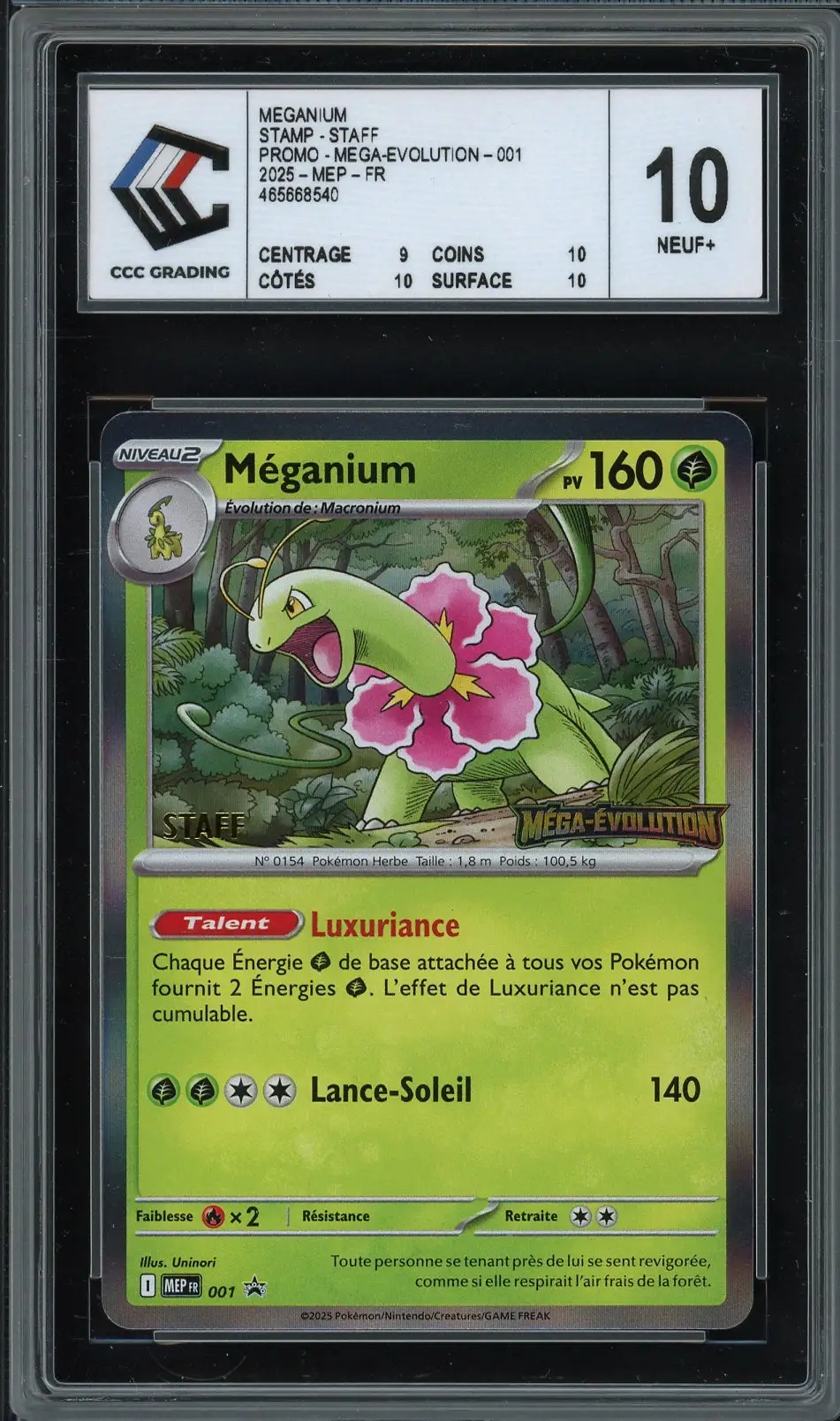 CCC 10 Méganium Holo Prerelease Staff