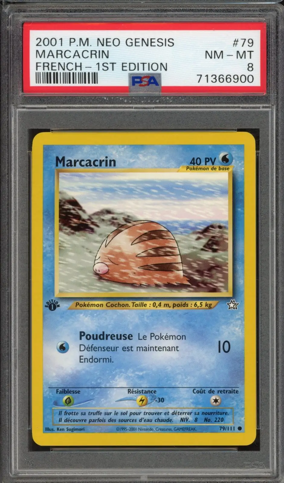 PSA 8 Marcacrin