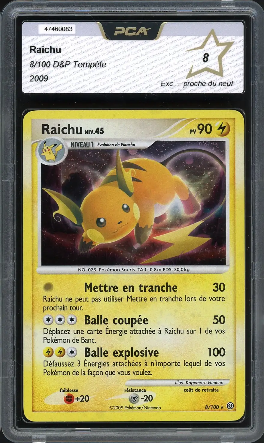 PCA 8 Raichu Holo