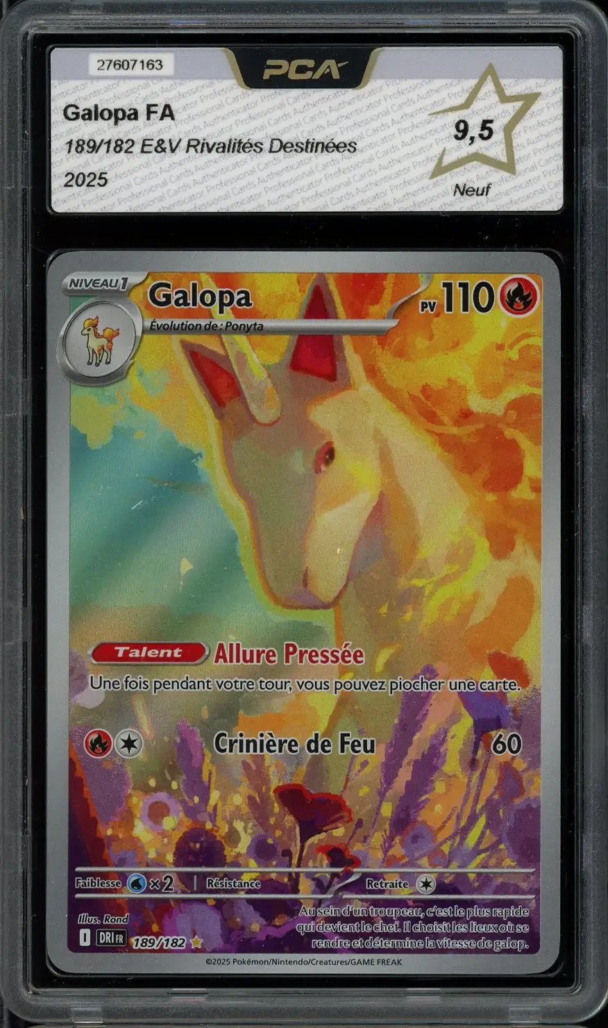 PCA 9.5 Galopa