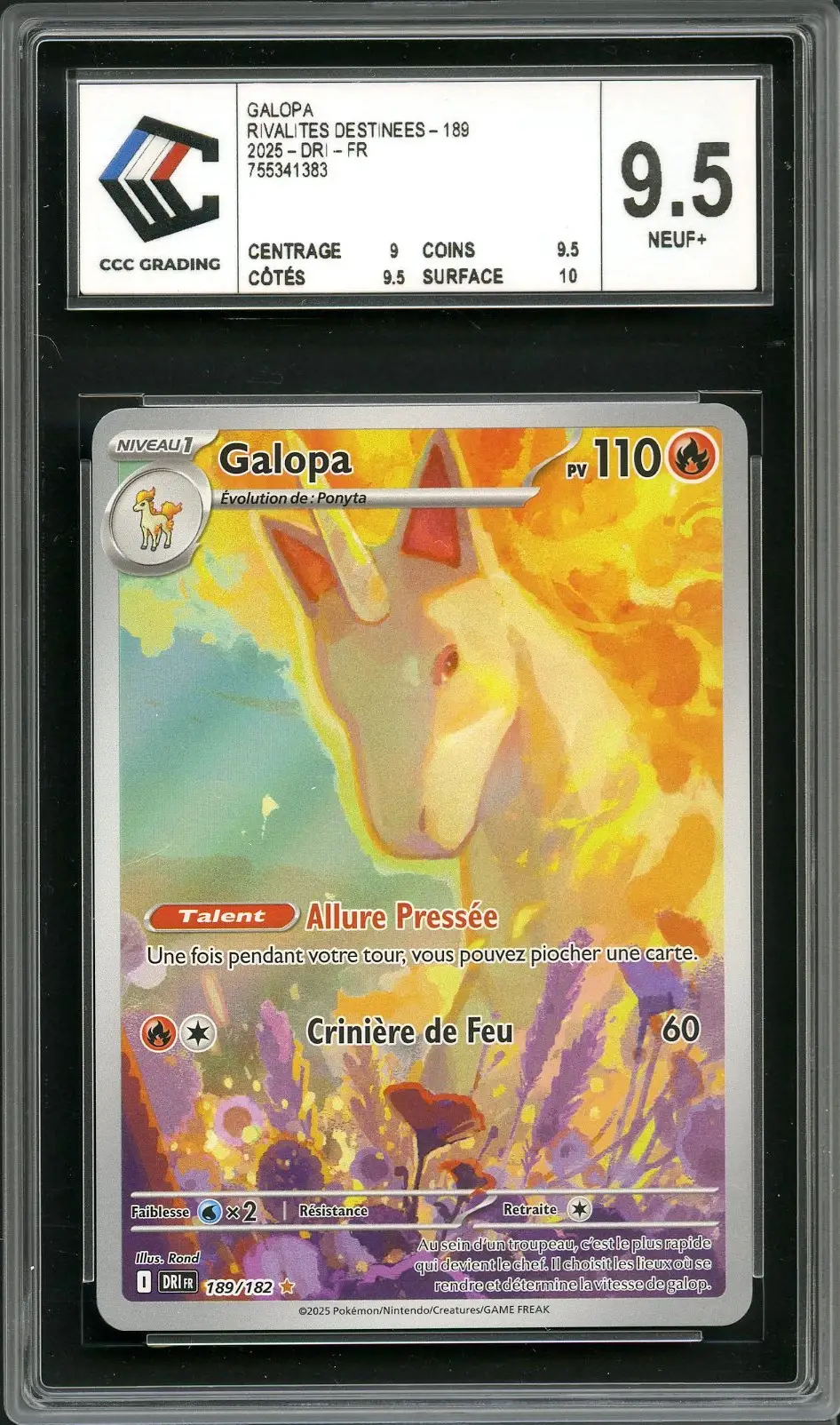 CCC 9.5 Galopa