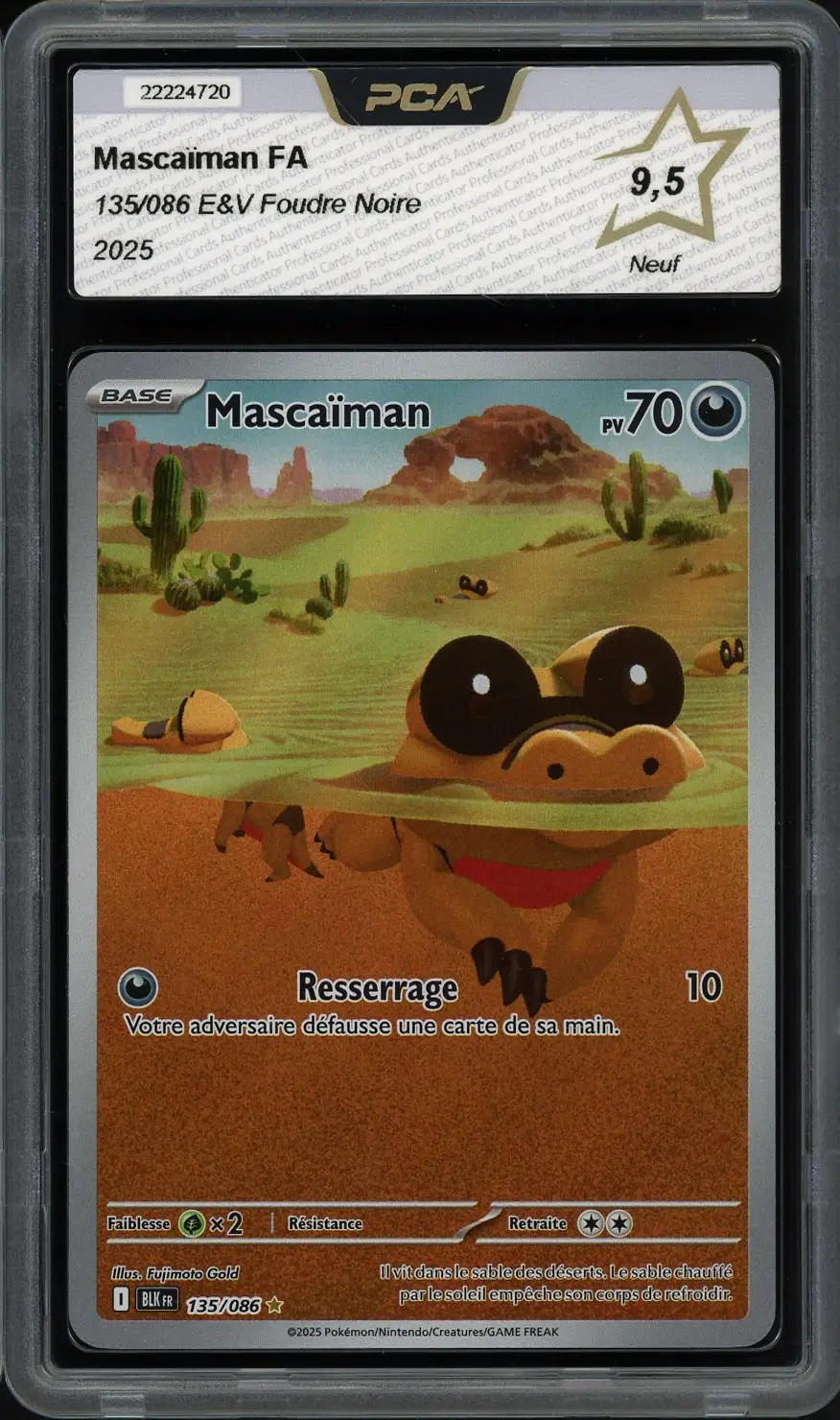 PCA 9.5 Mascaïman