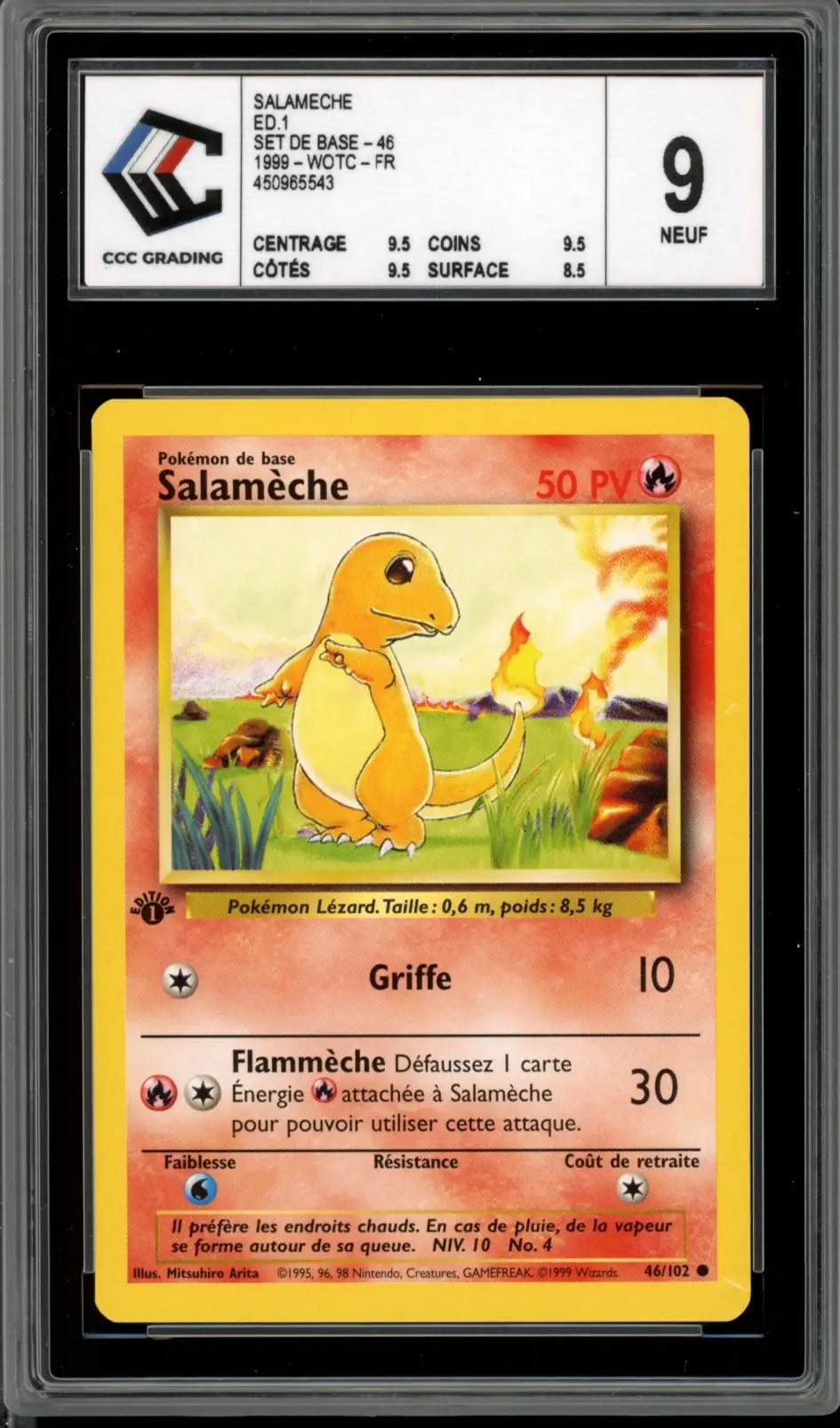 CCC 9.5 Salamèche