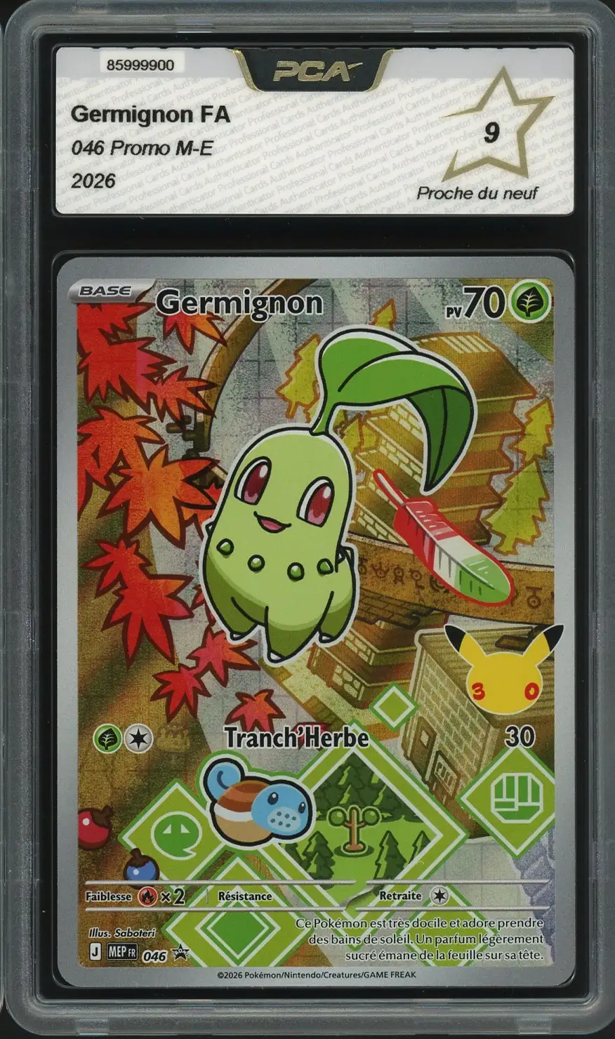 PCA 9 Germignon