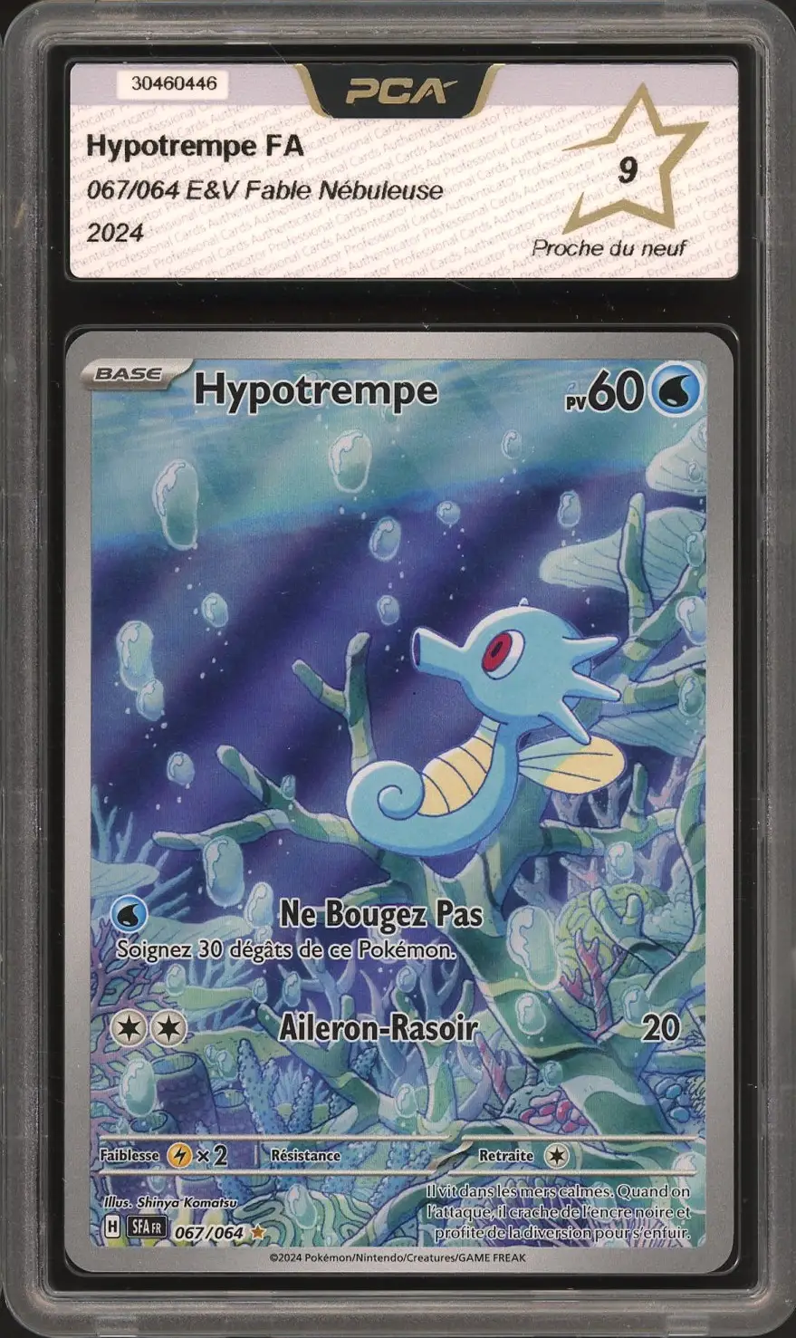 PCA 9 Hypotrempe