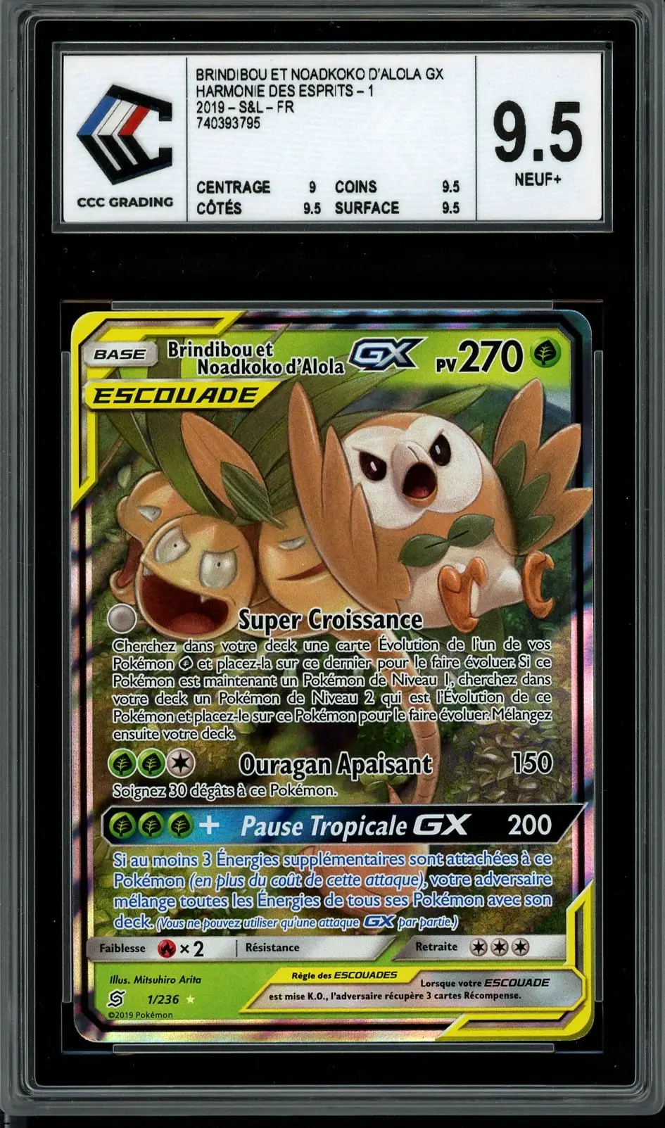 CCC 9.5 Brindibou et Noadkoko d’Alola Gx