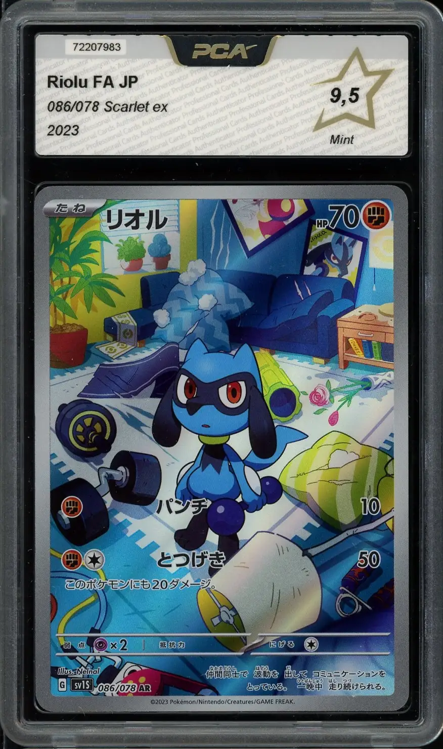 PCA 9.5 Riolu