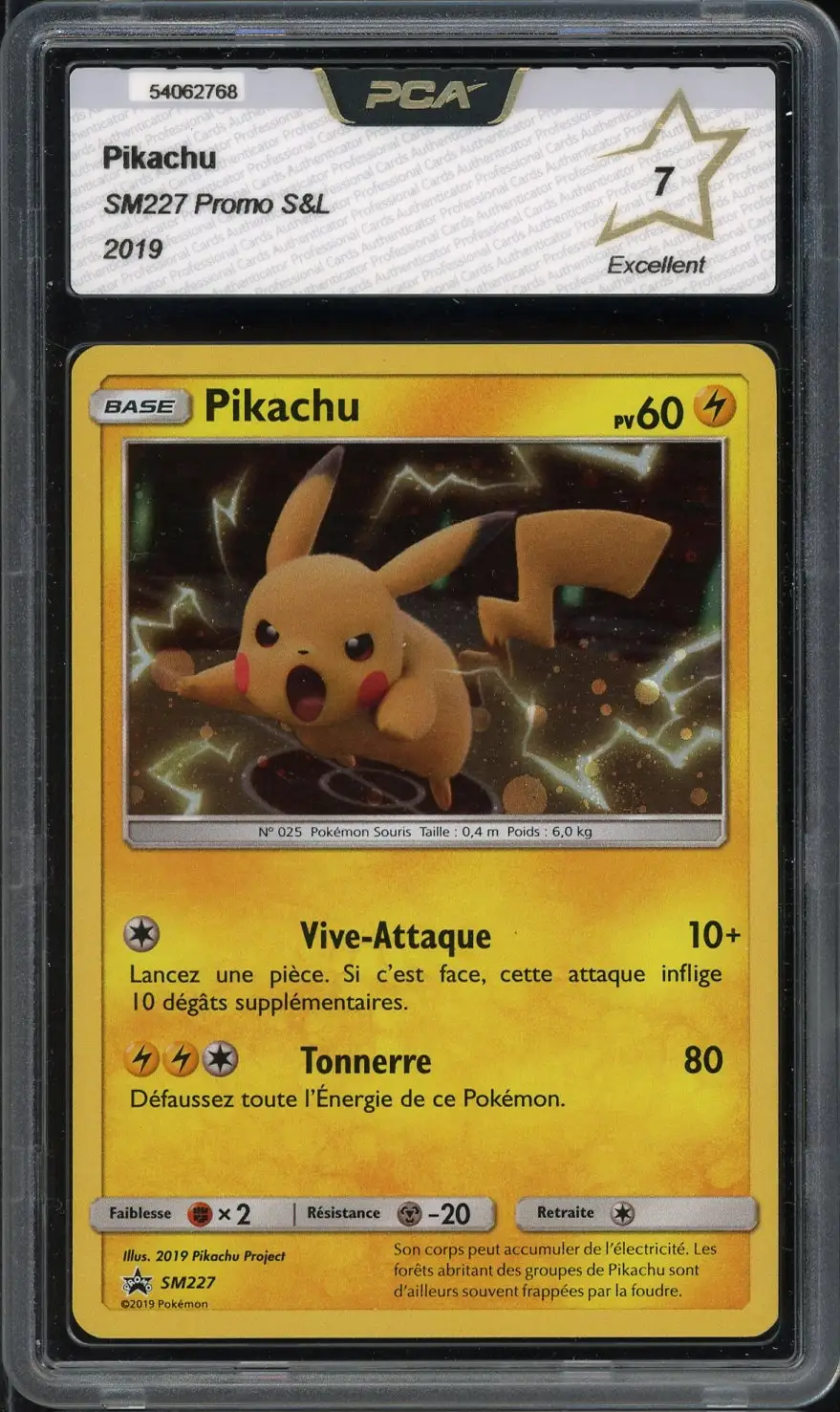 PCA 7 Pikachu