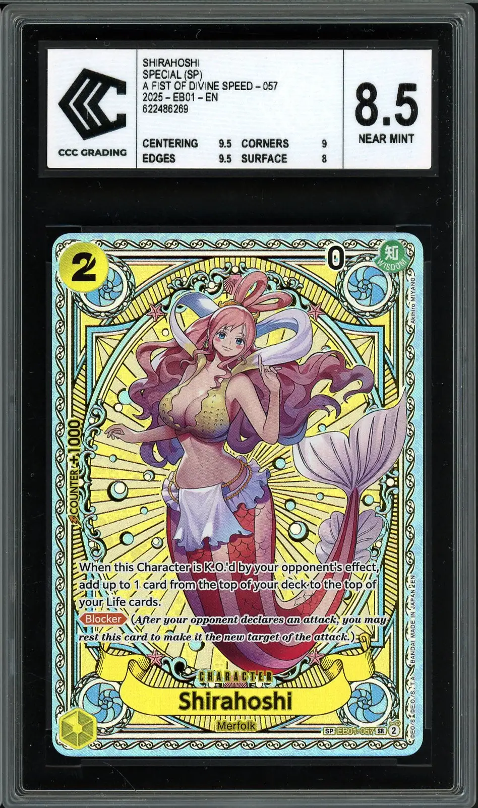 CCC 8.5 Shirahoshi