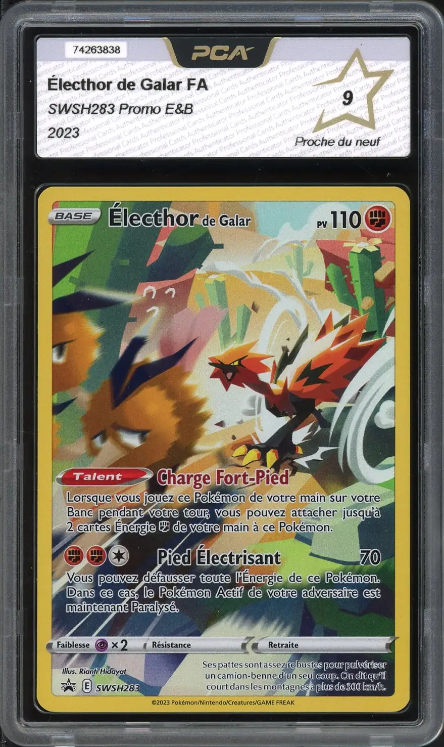 PCA 9 Electhor de Galar