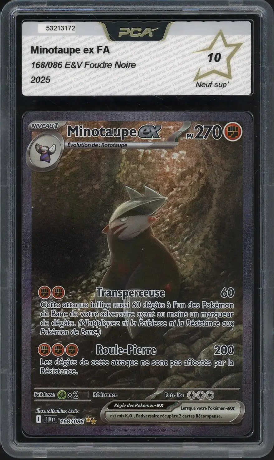 PCA 10 Minotaupe Ex