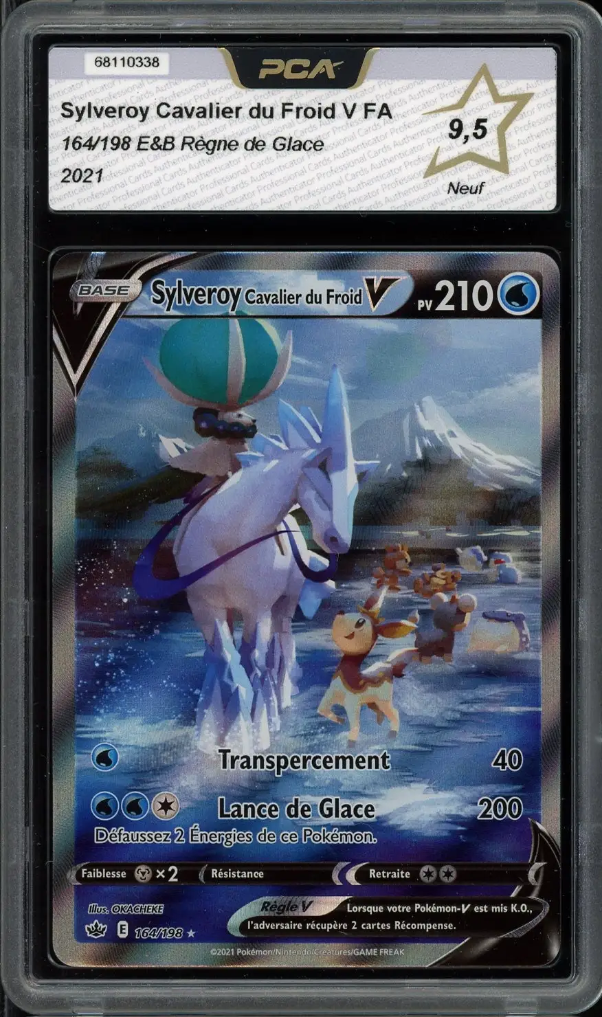 PCA 9.5 Sylveroy Cavalier du Froid V