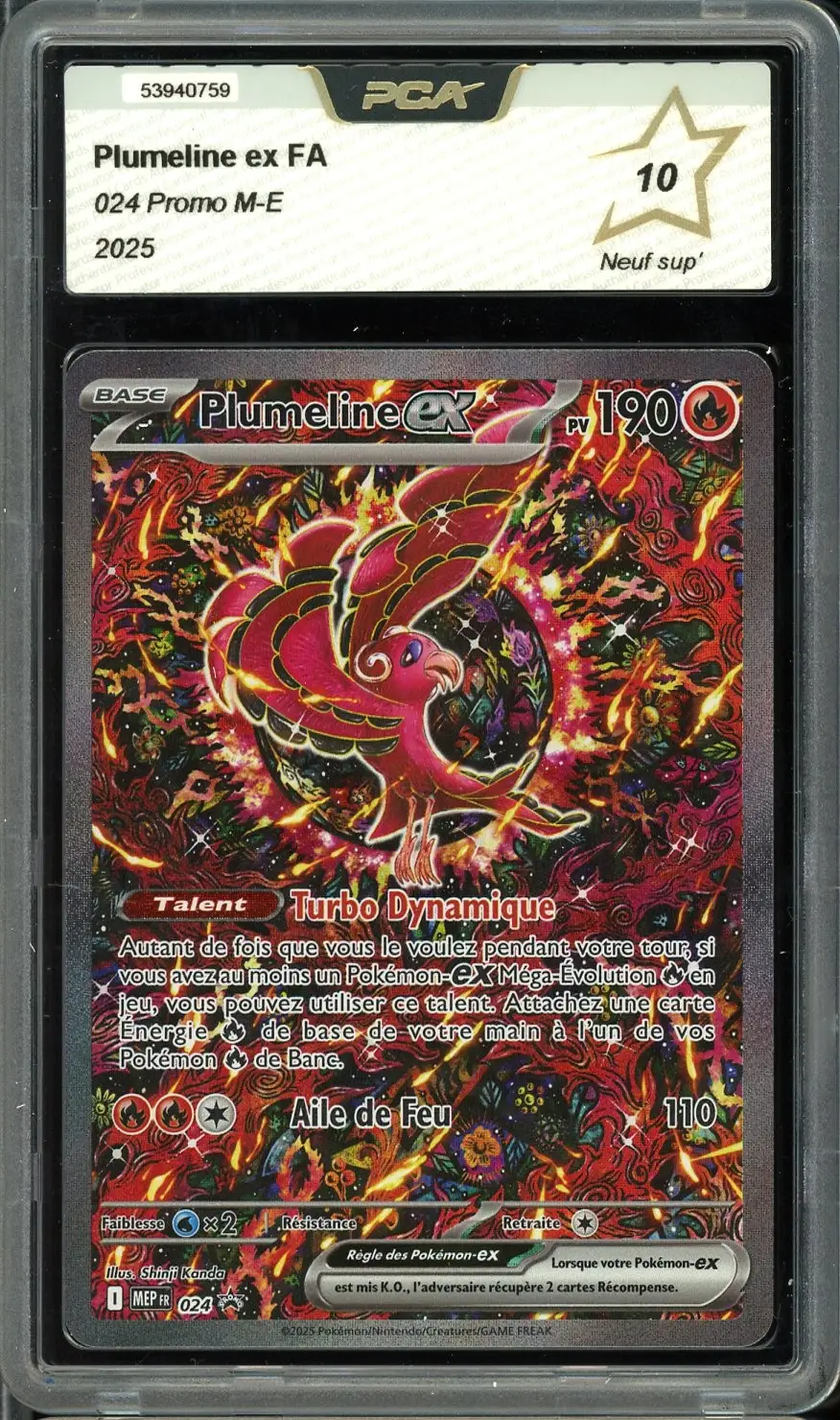PCA 10 Plumeline Ex