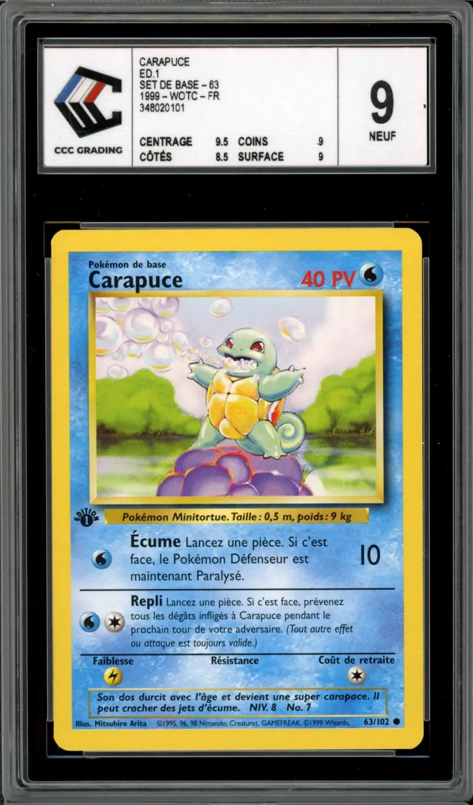 CCC 9 Carapuce