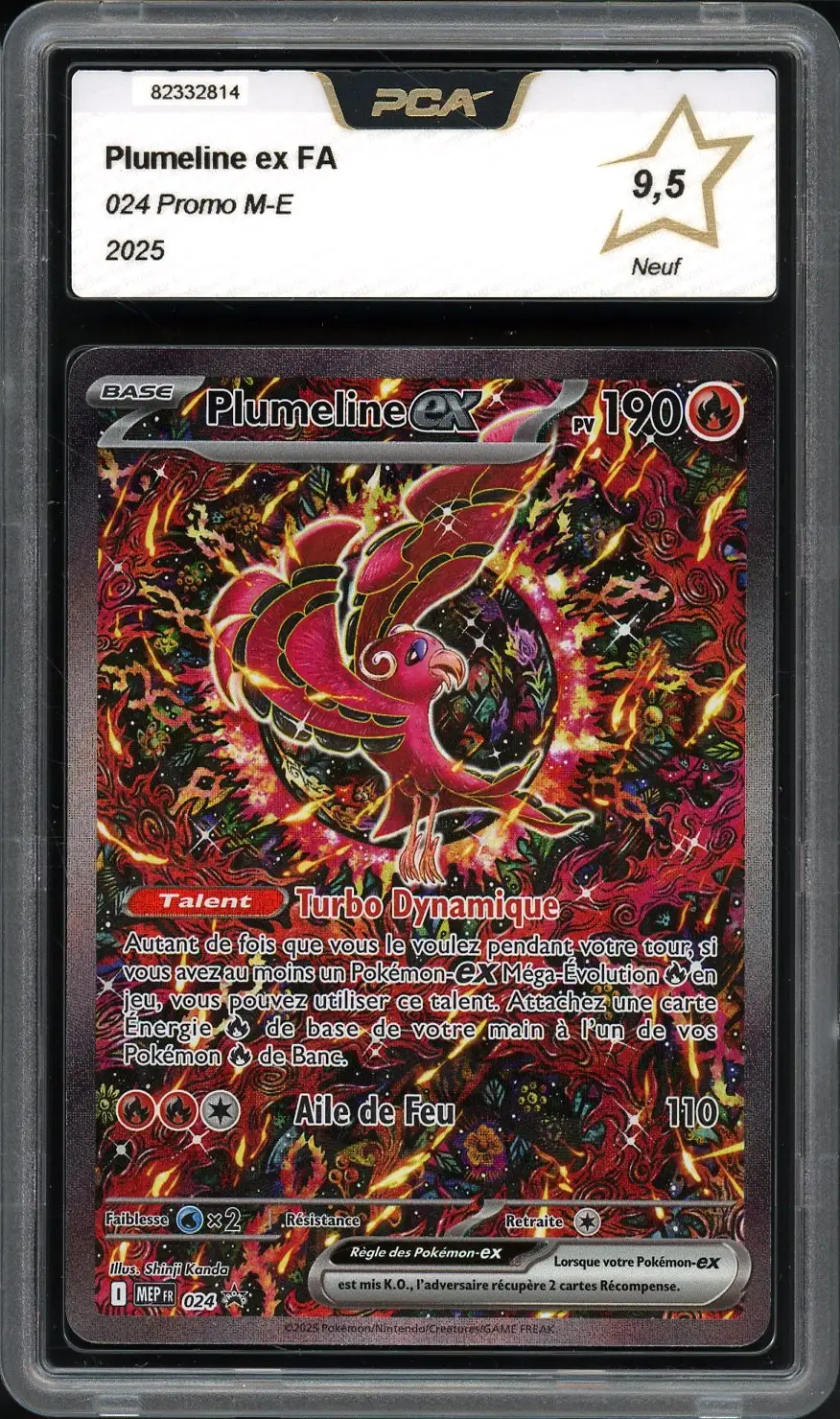 PCA 9.5 Plumeline Ex