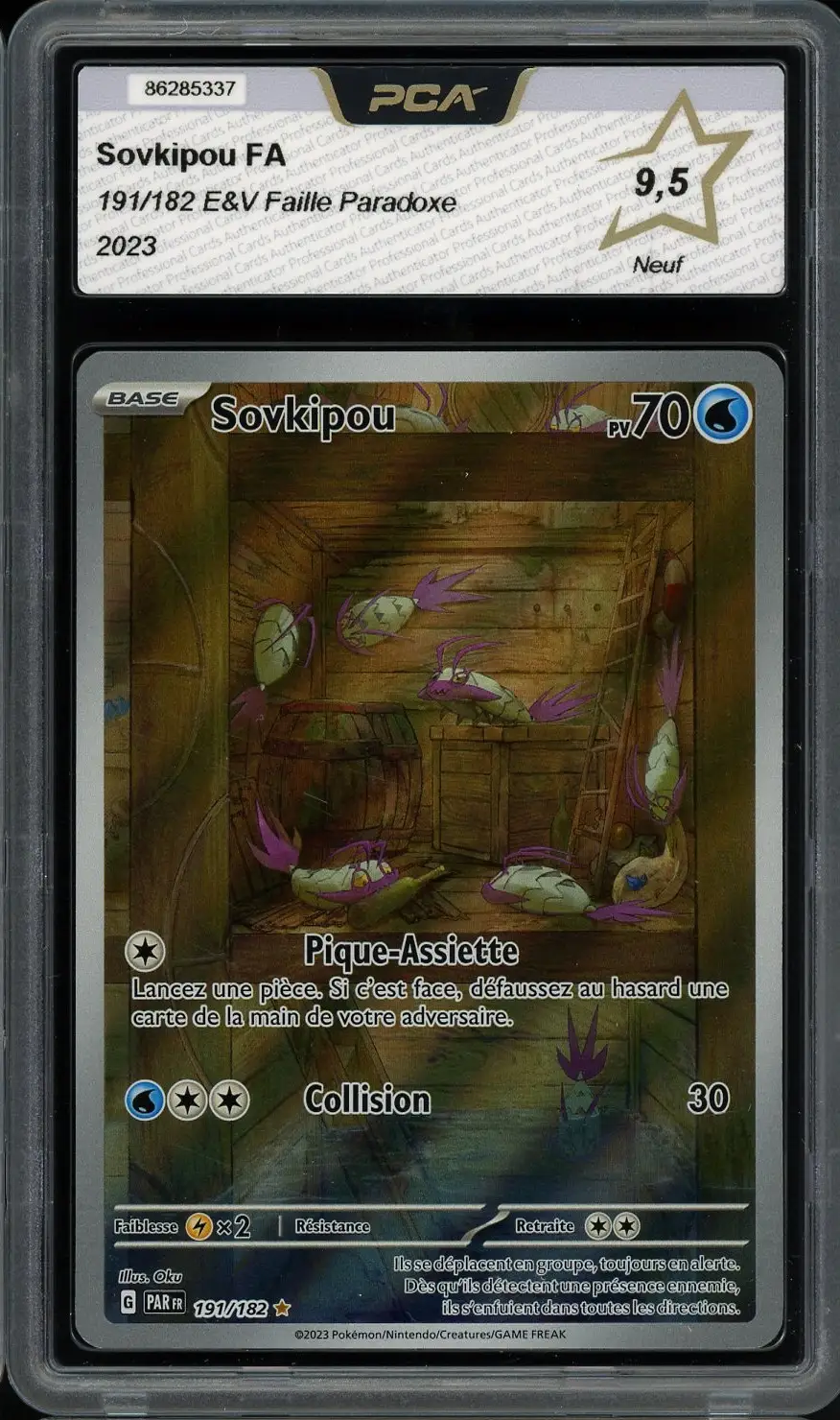PCA 9.5 Sovkipou