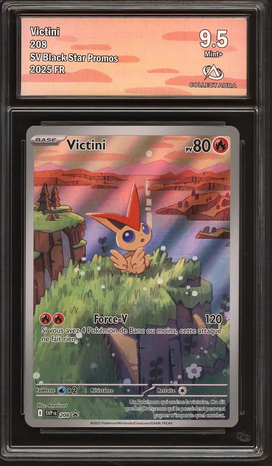 CA 9.5 Victini