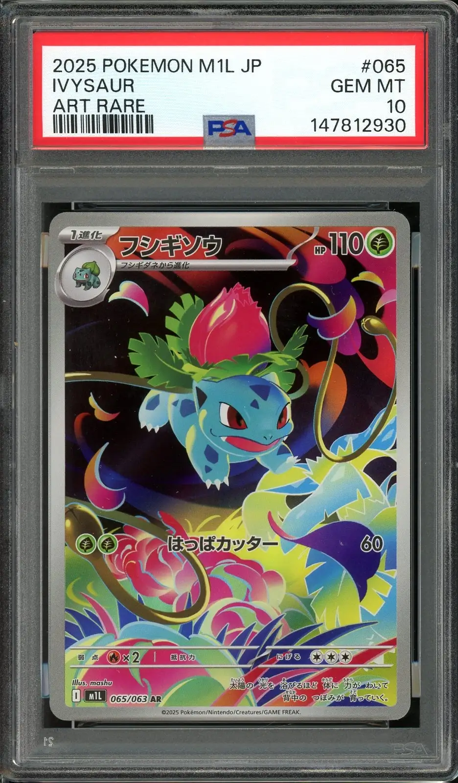 PSA 10 Ivysaur