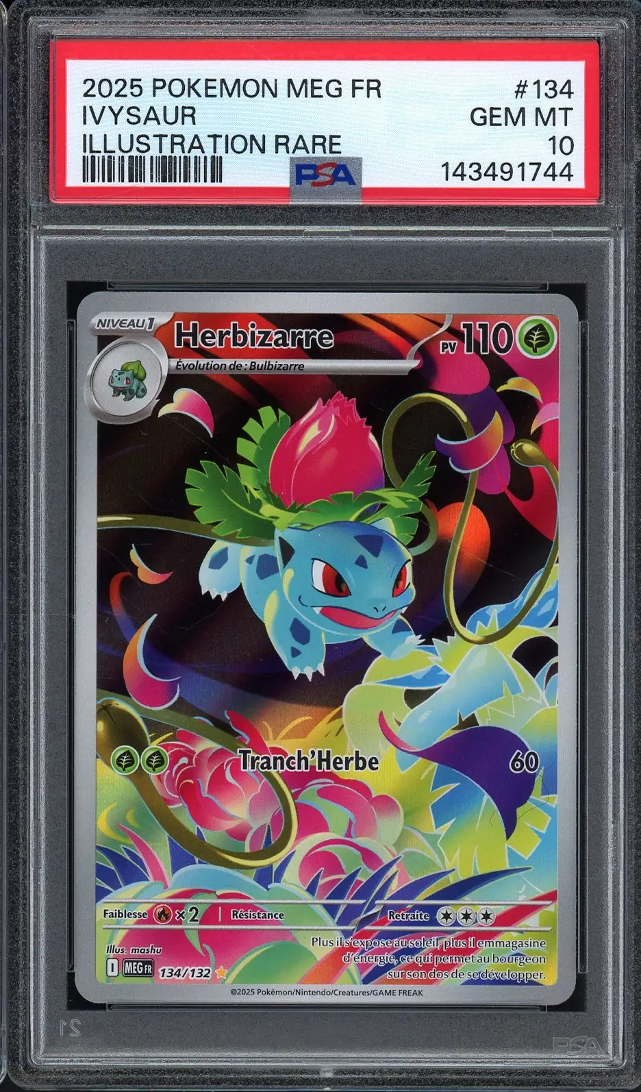 PSA 10 Herbizarre