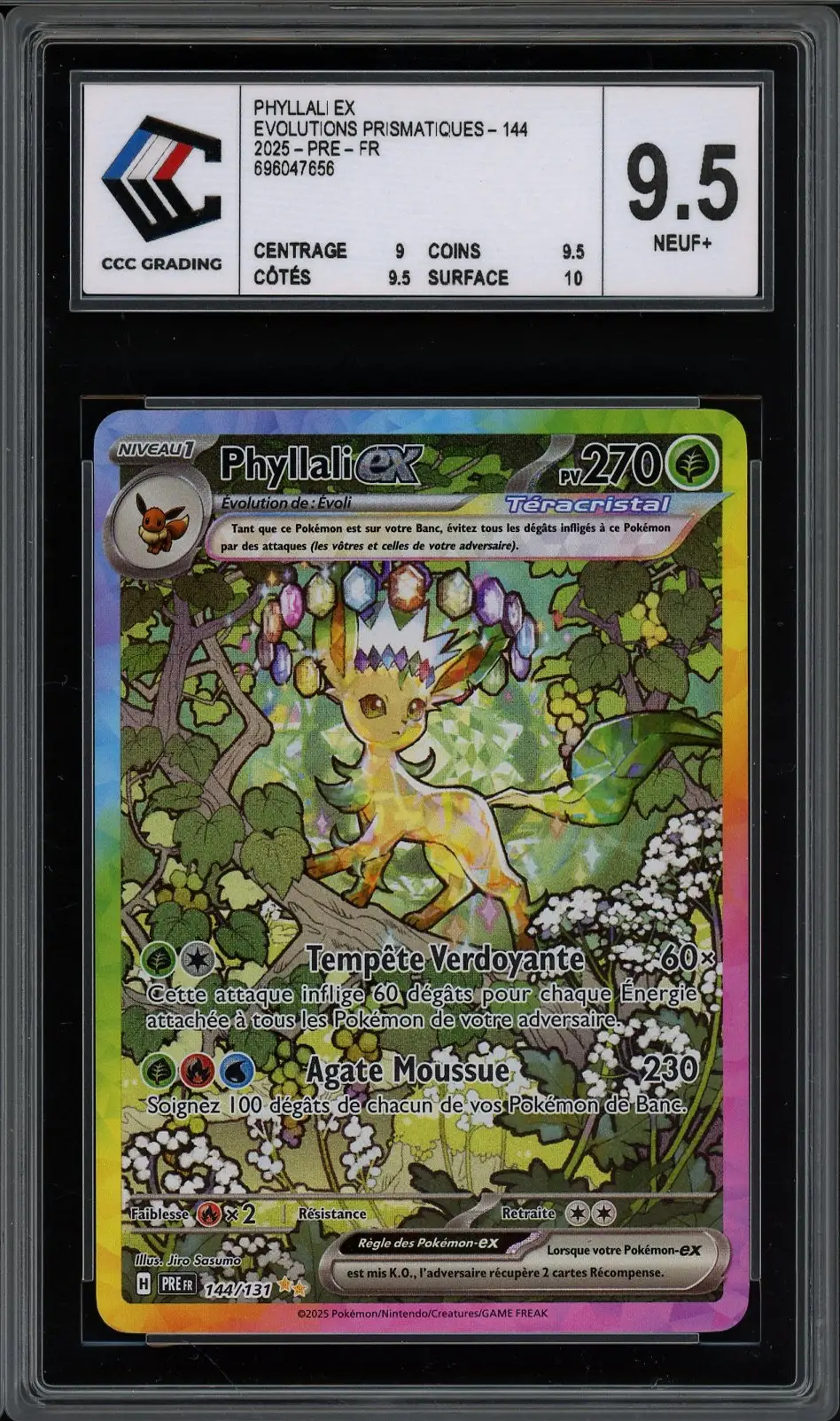 CCC 9.5 Phyllali Ex