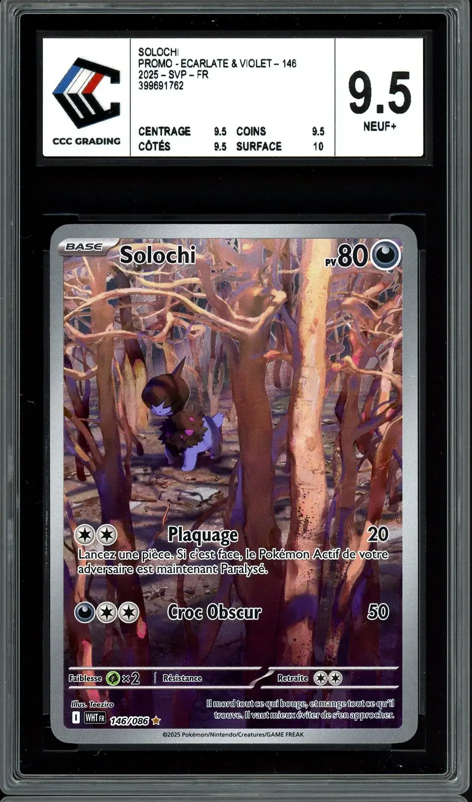 CCC 9.5 Solochi