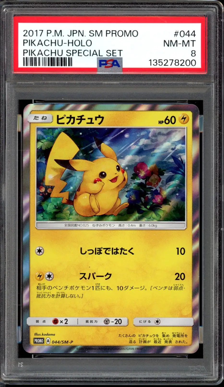 PSA 8 Pikachu Holo