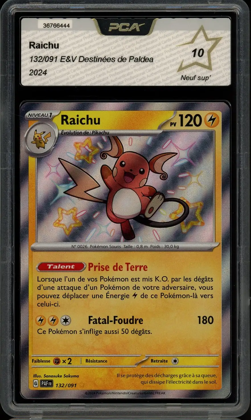 PCA 10 Raichu Shiny