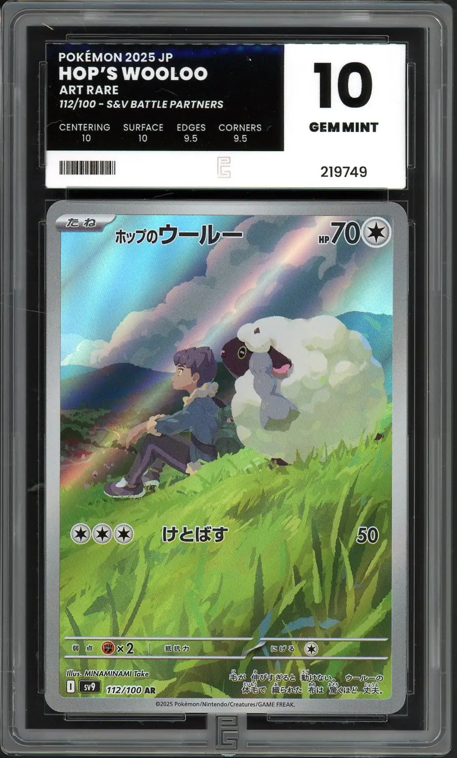 PG 10 Hop's Wooloo