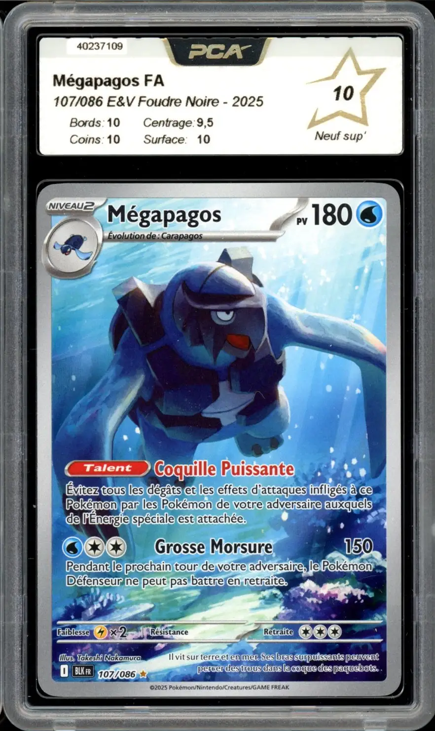 PCA 10 Mégapagos