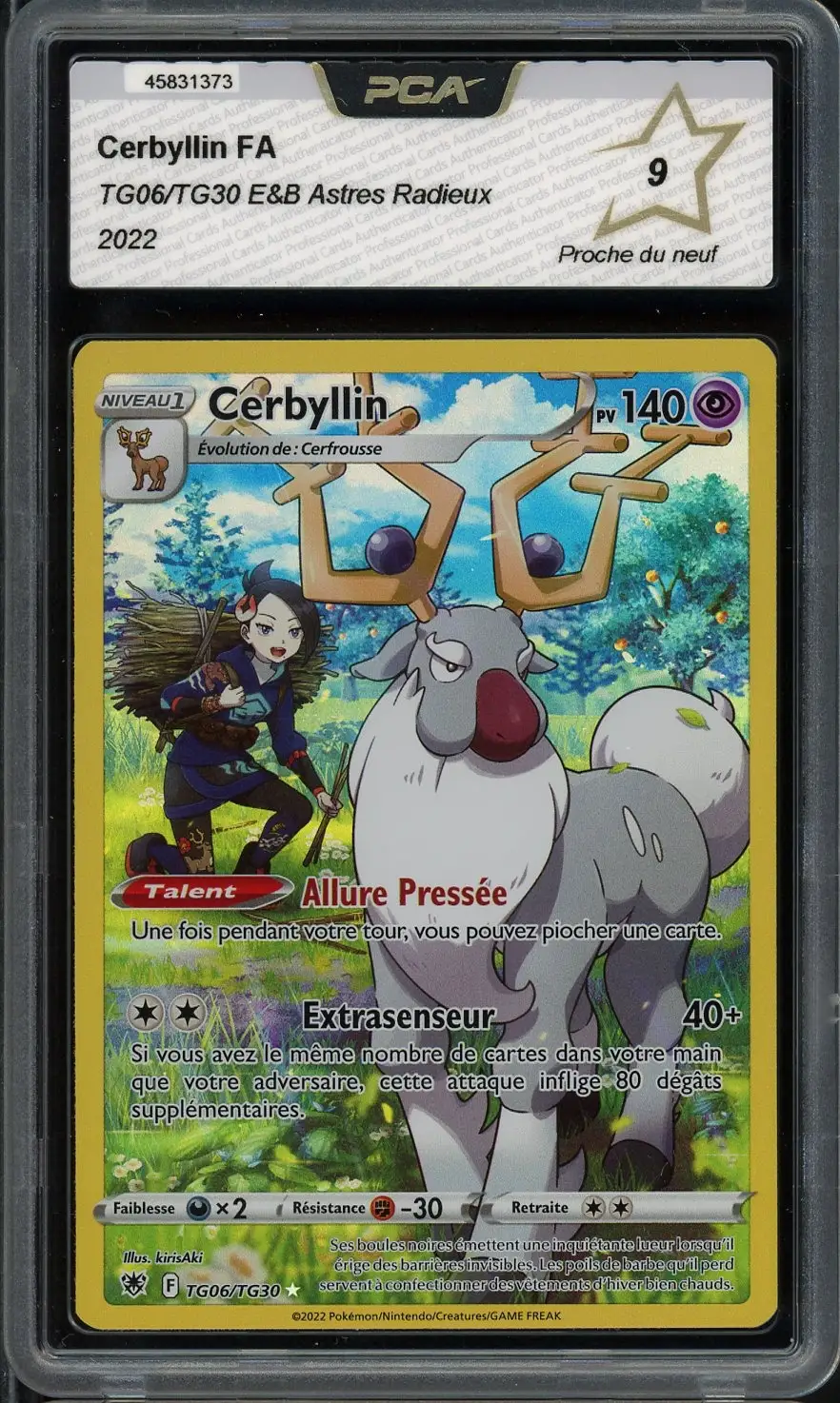 PCA 9 Cerbyllin