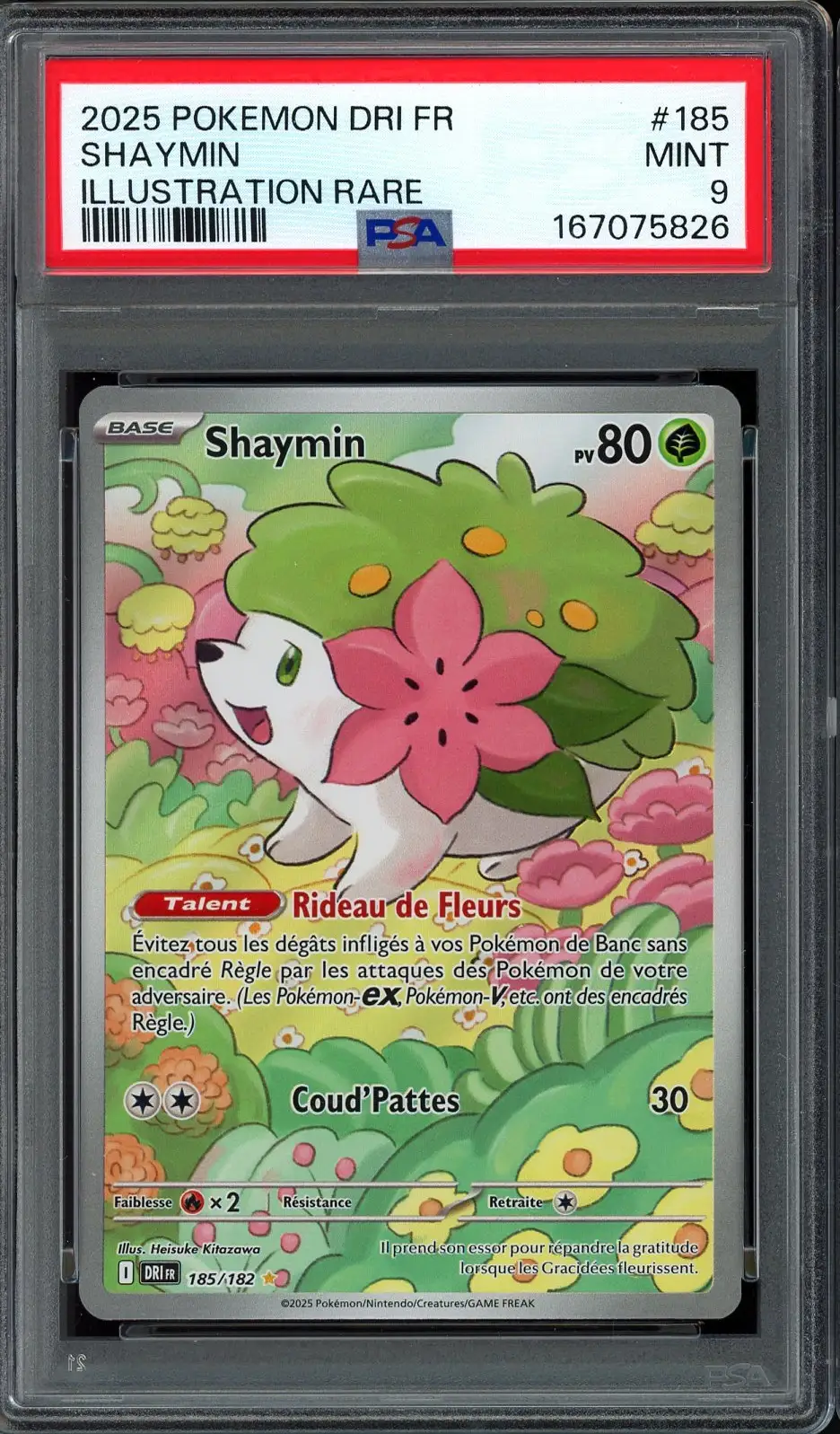PSA 9 Shaymin