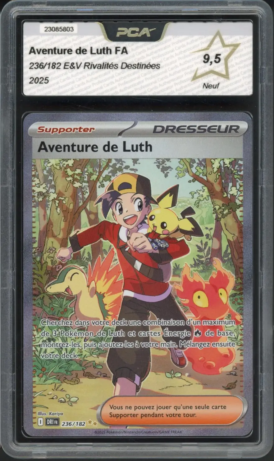 PCA 9.5 Aventure de Luth