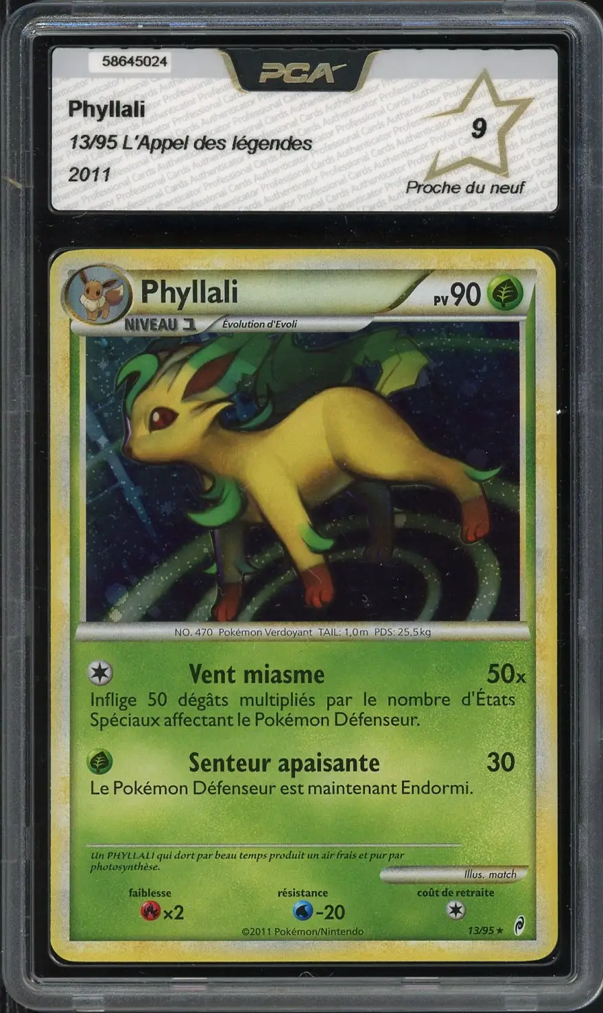 PCA 9 Phyllali Holo