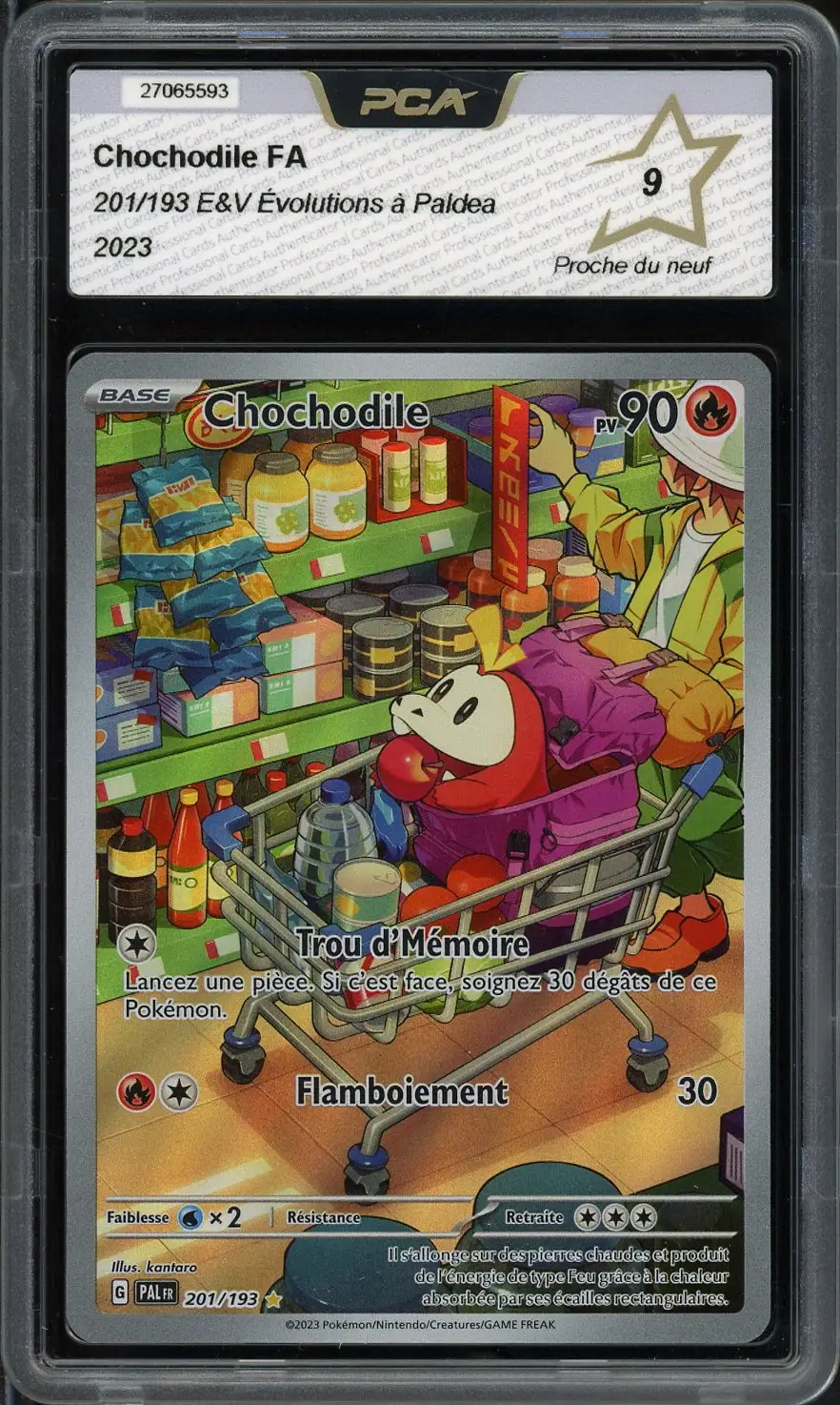 PCA 9 Chochodile