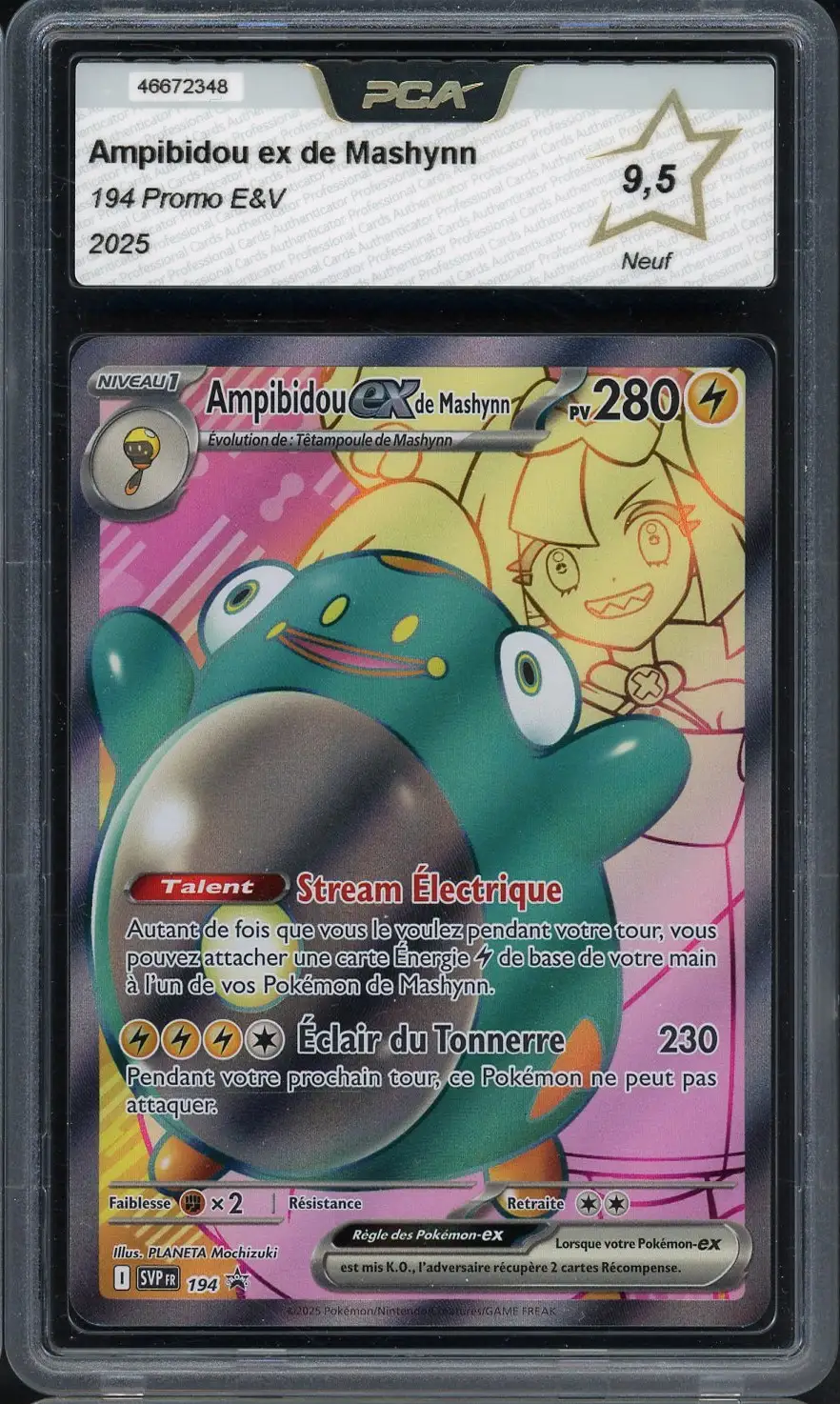 PCA 9.5 Ampibidou Ex de Mashynn