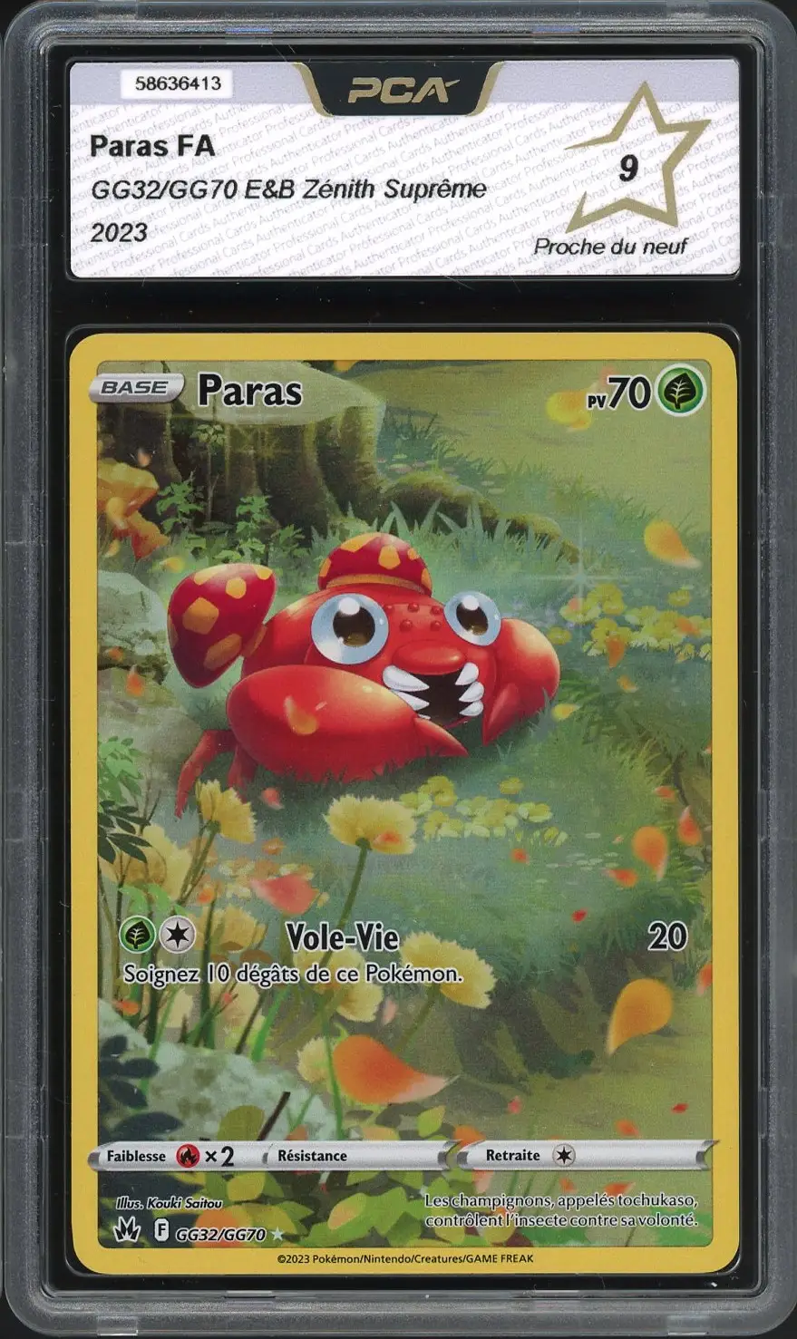 PCA 9 Paras