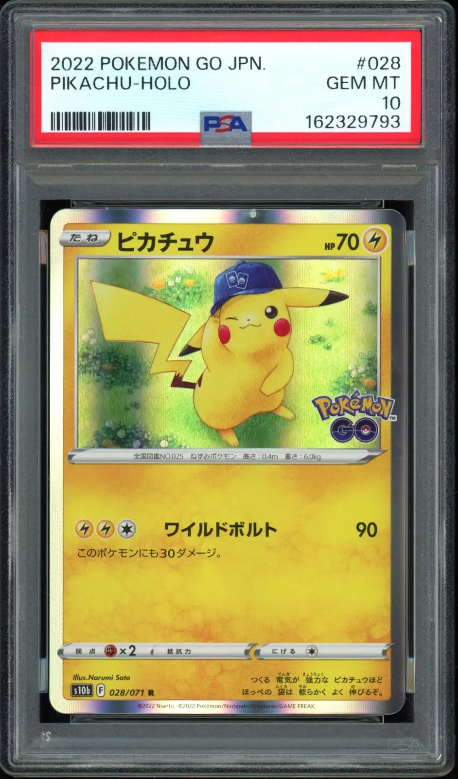 PSA 10 Pikachu Holo