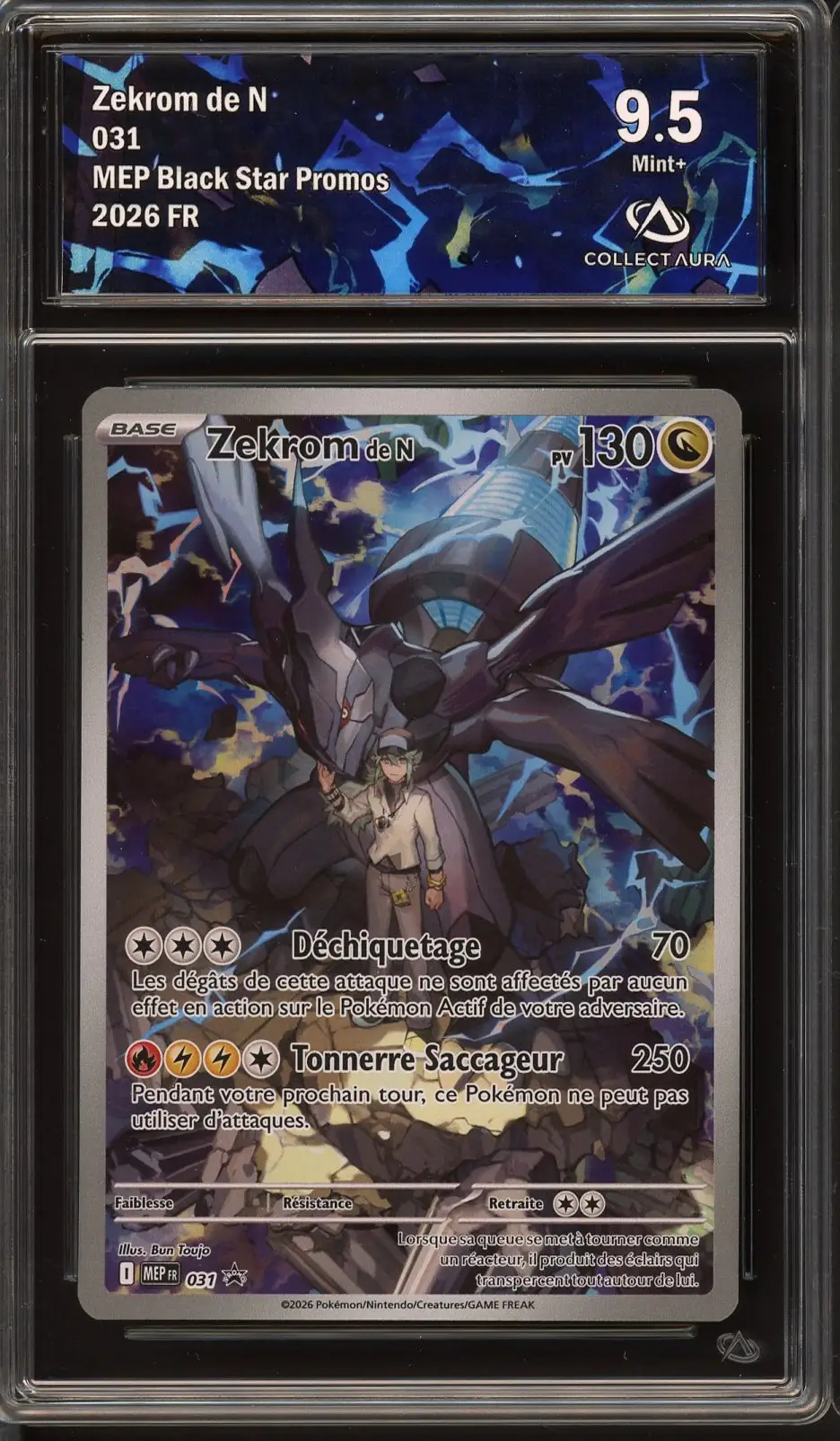 CA 9.5 Zekrom de N