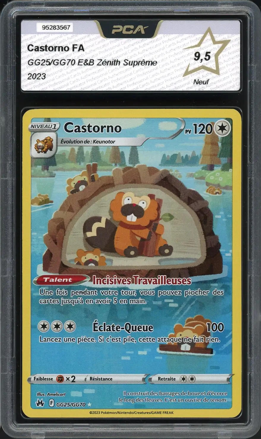 PCA 9.5 Castorno