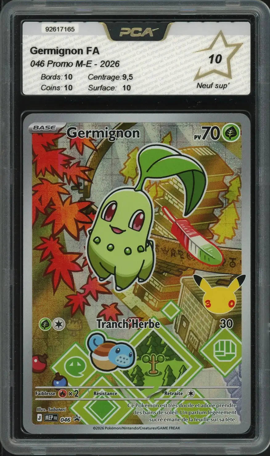 PCA 10 Germignon