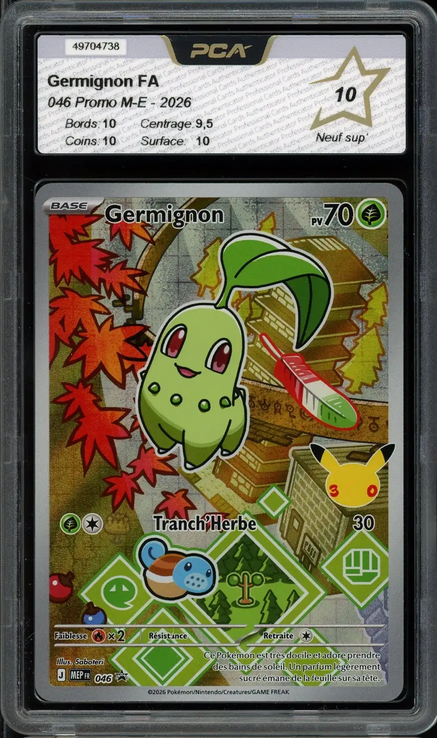 PCA 10 Germignon