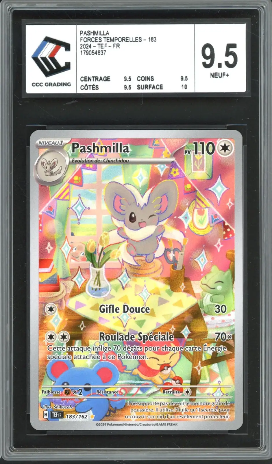 CCC 9.5 Pashmilla