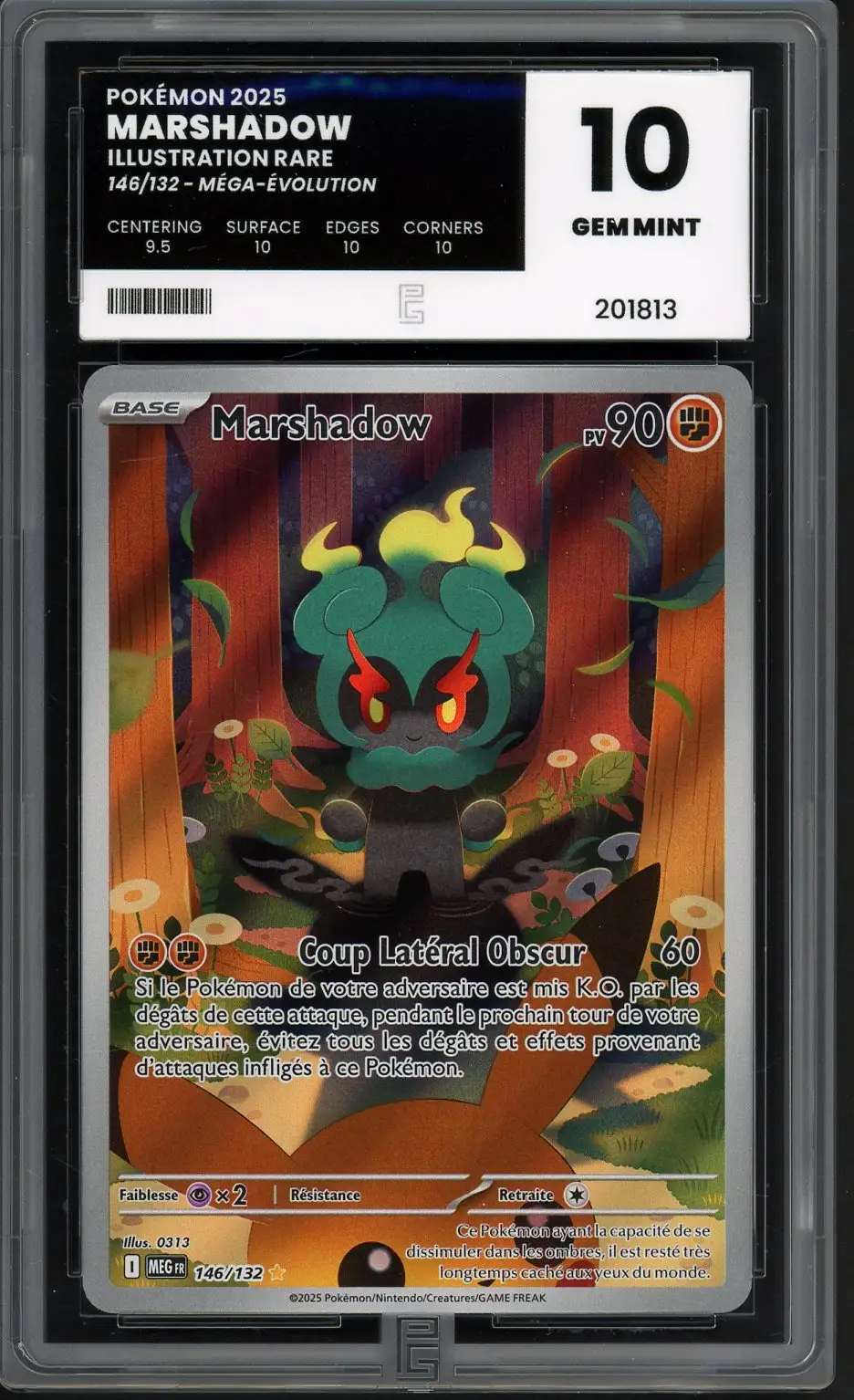 PG 10 Marshadow
