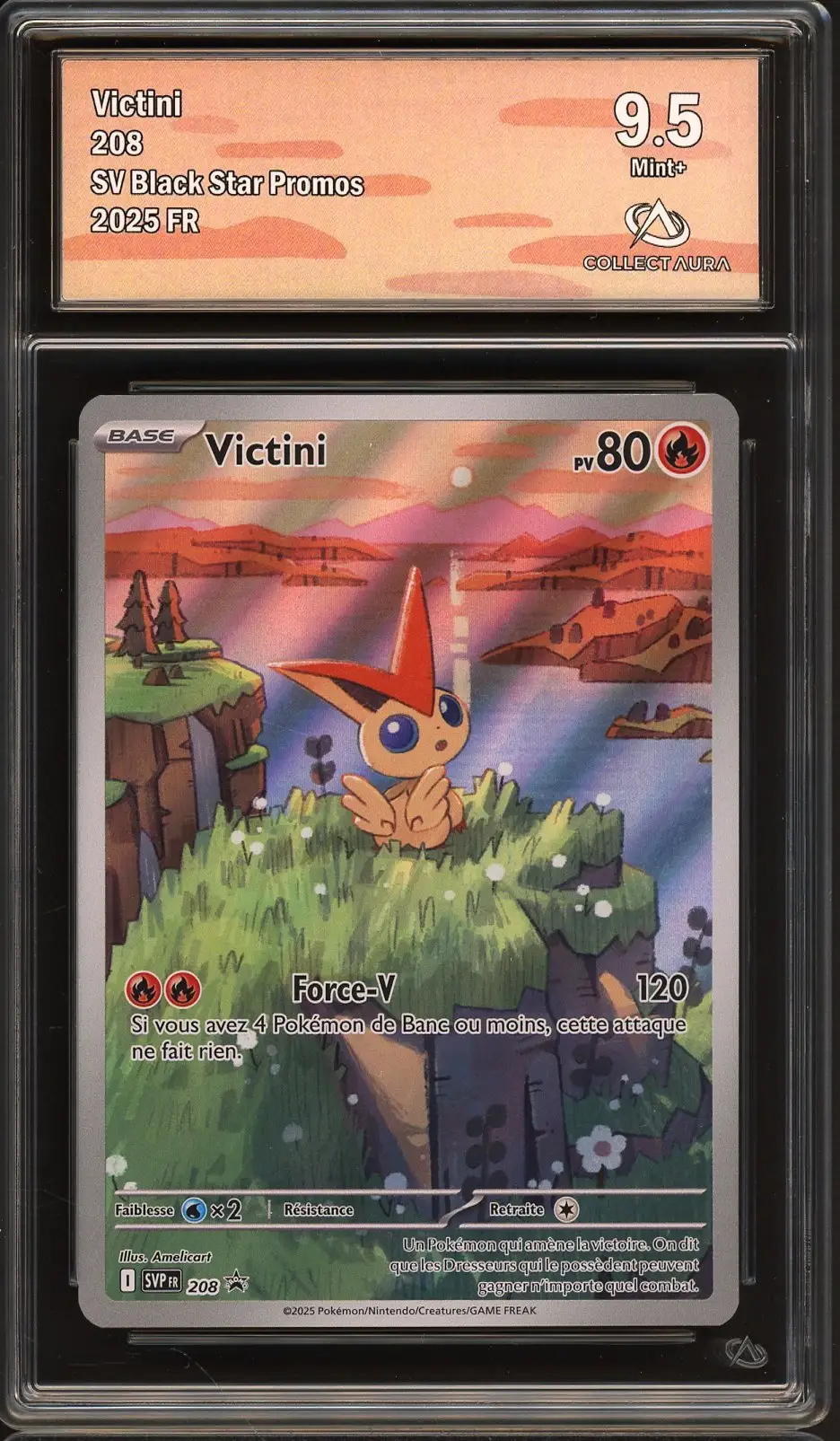 CA 9.5 Victini