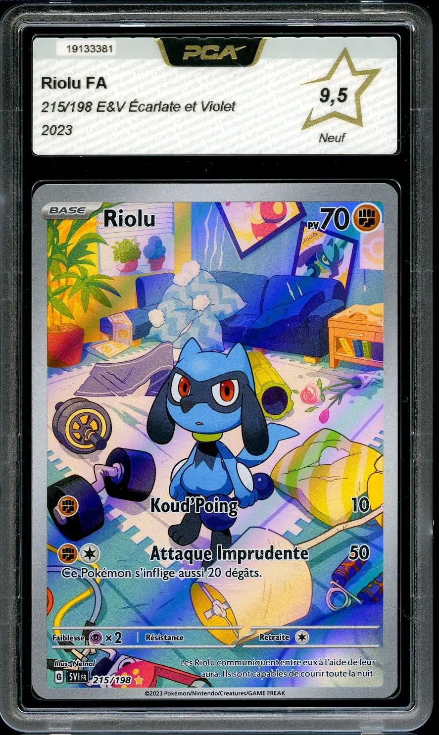 PCA 9.5 Riolu