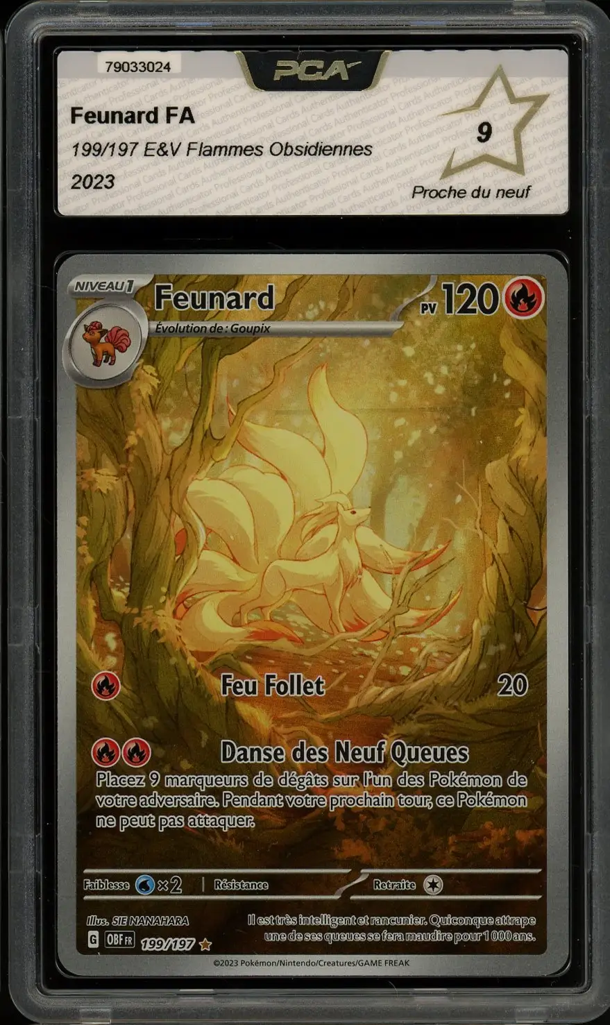 PCA 9 Feunard