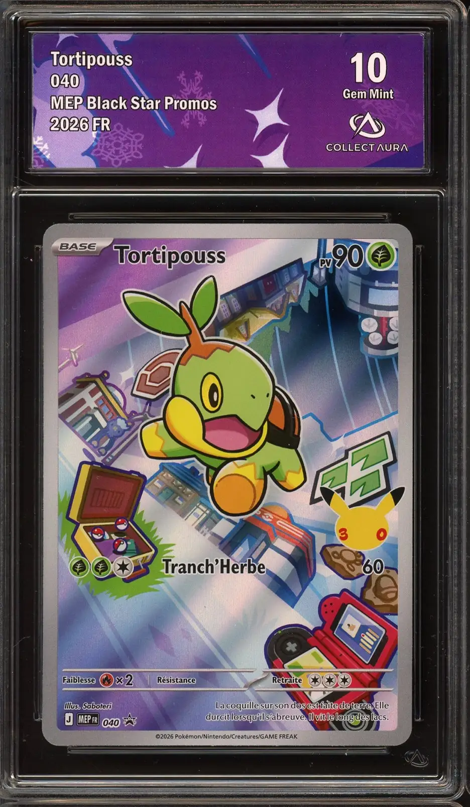 CA 10 Tortipouss