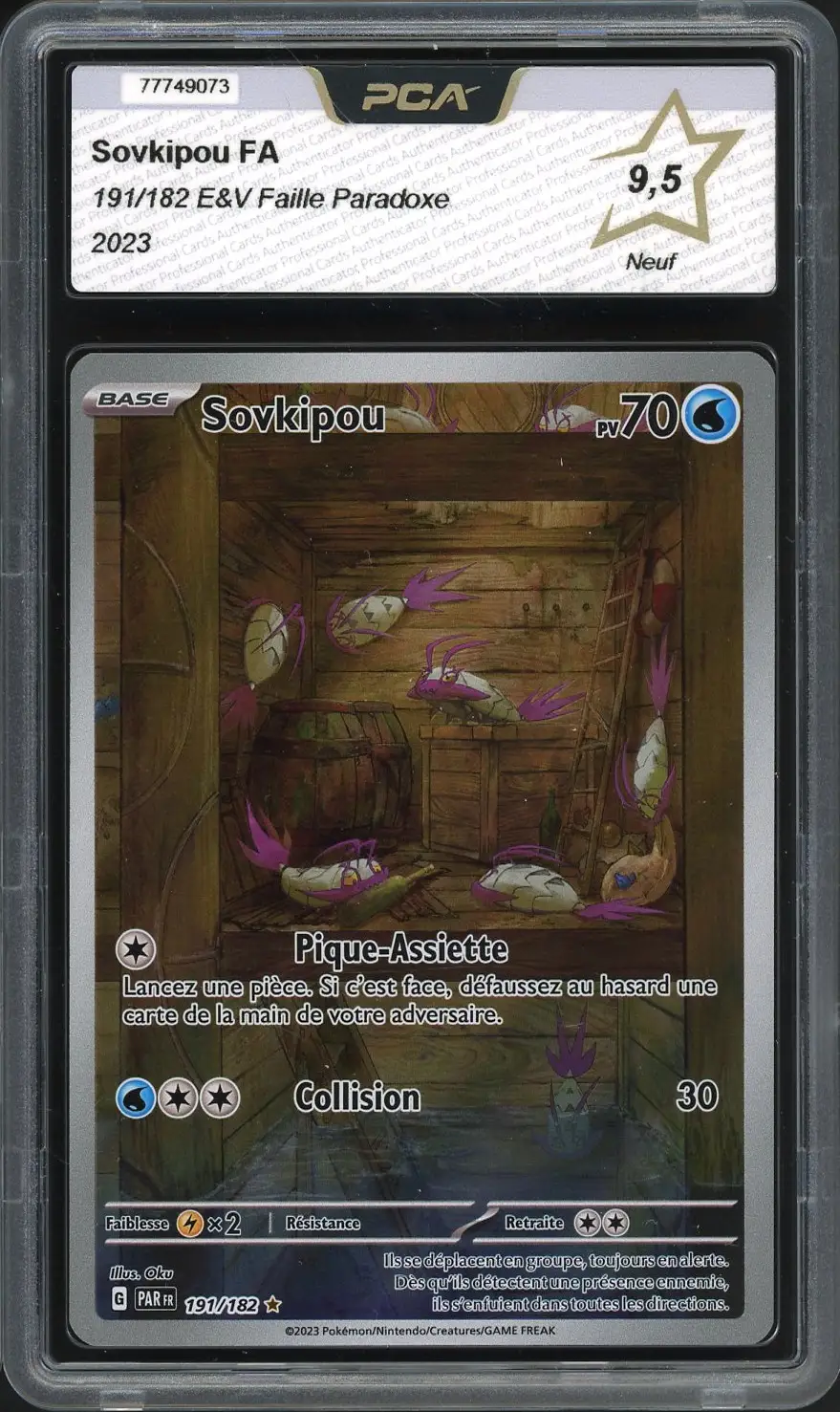 PCA 9.5 Sovkipou