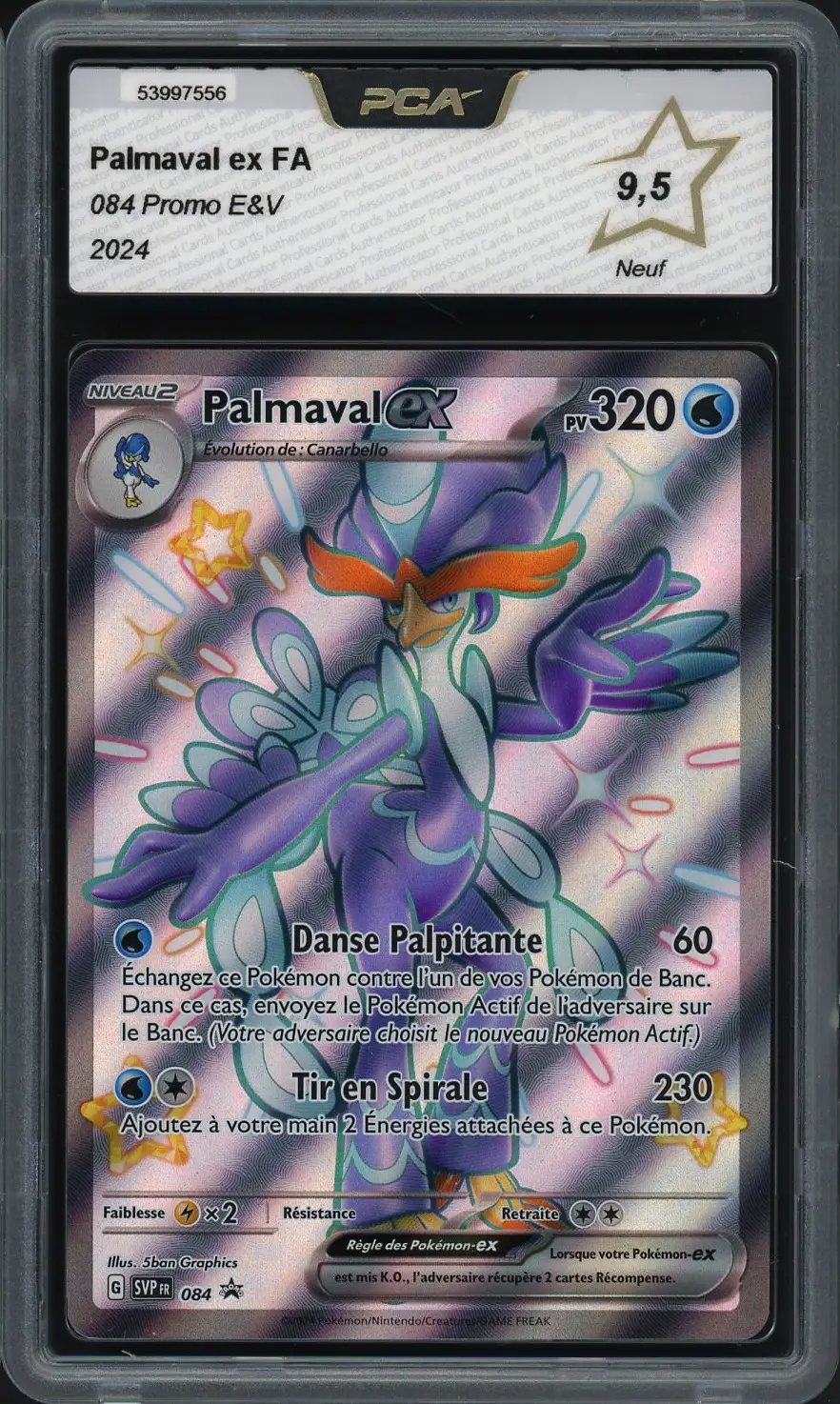 PCA 9.5 Palmaval Ex Shiny