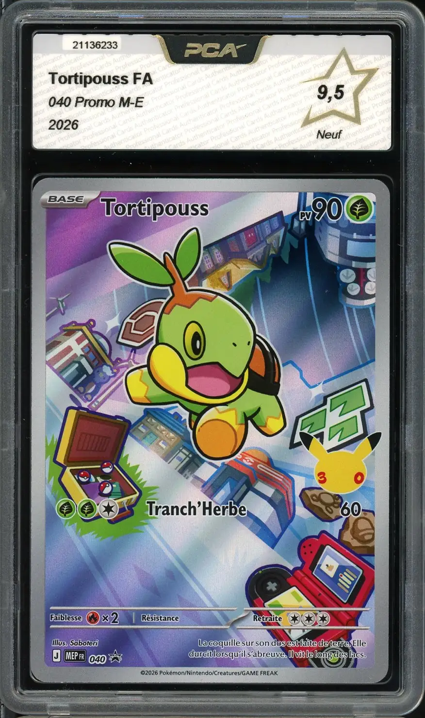 PCA 9.5 Tortipouss